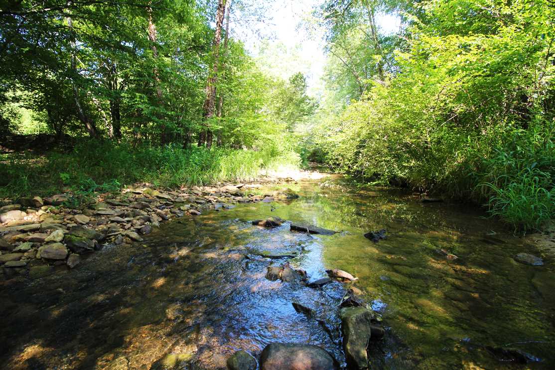 110.97+/- Acres in Pinnacle, Stokes County Real estate listing