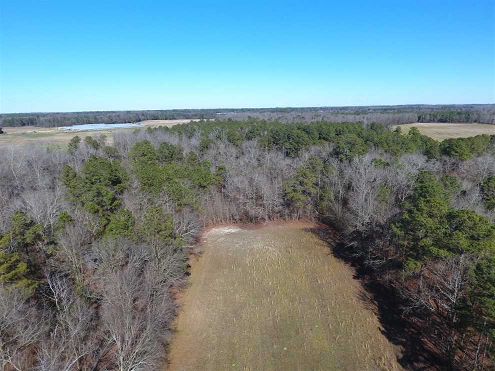 Farmland real estate available to buy