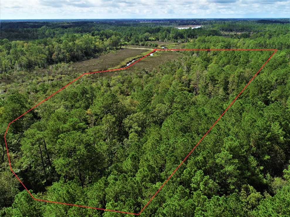 Timberland real estate available to buy