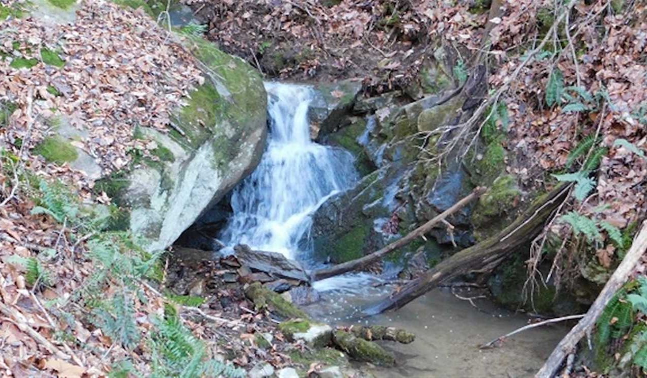 Land for sale to buy in 24347 zip code