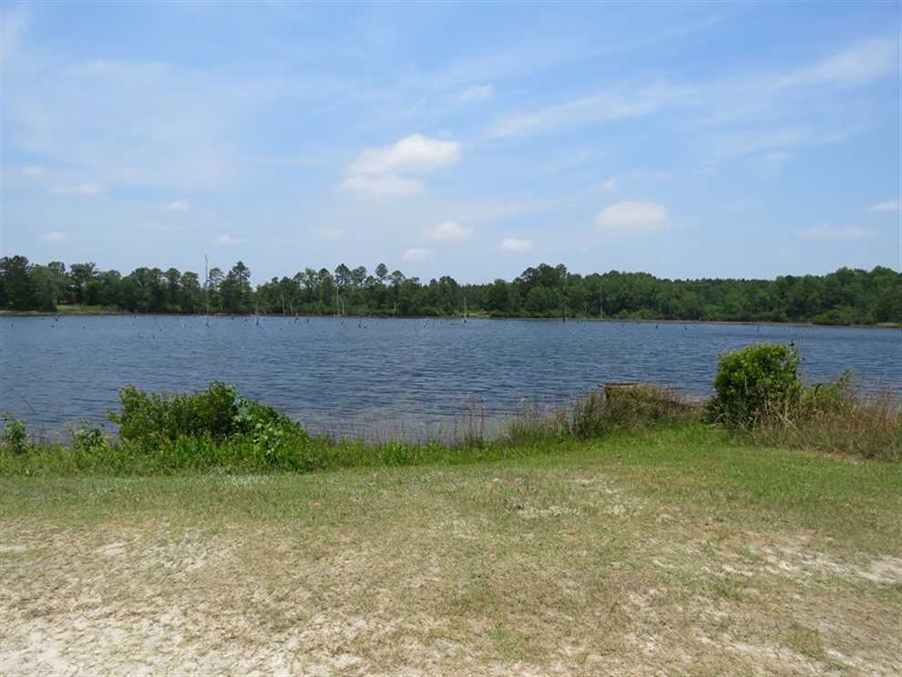 550 Acres of Residential land for sale in Cassatt, kershaw County, South Carolina