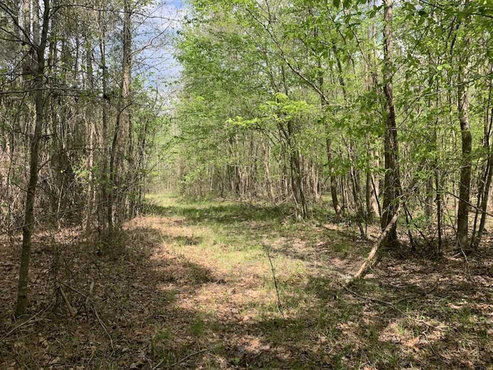 REDUCED!! 27.11 Acres of Timber and Hunting Land For Sale in Nash County NC! Real estate listing