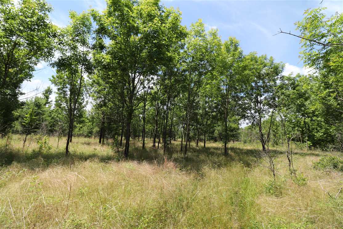 Recreational real estate available to buy