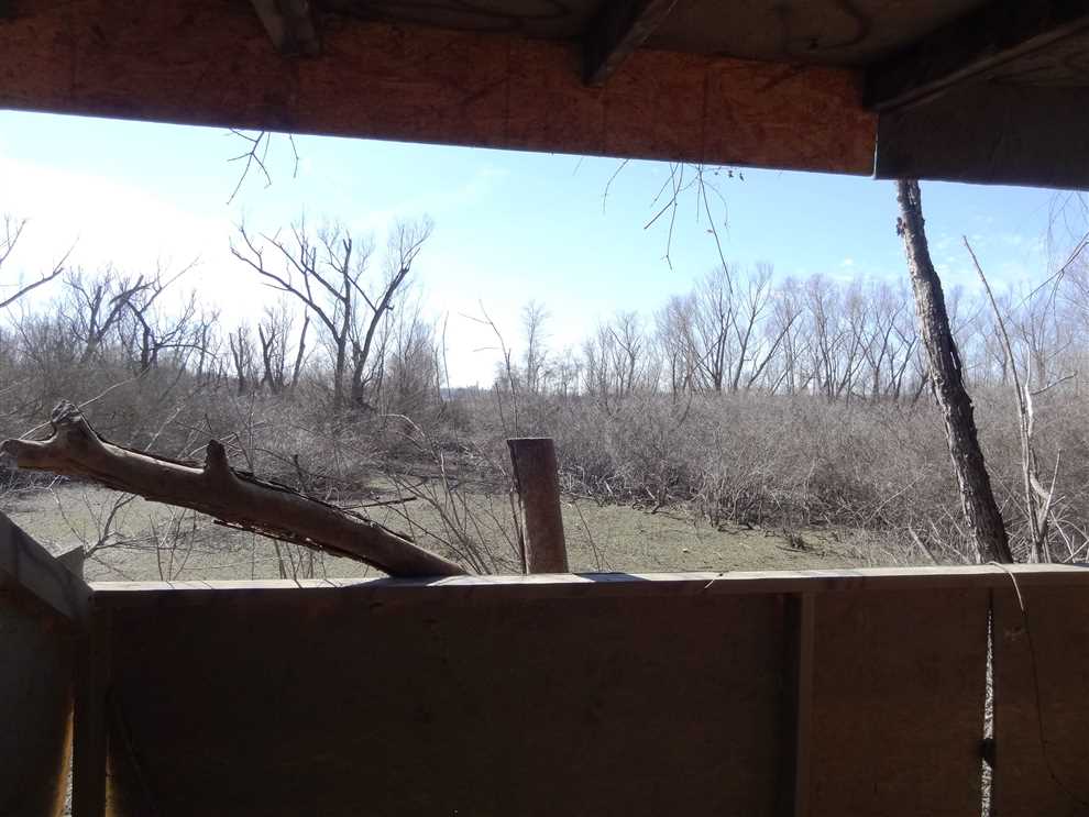 108 +/- Acres Farmland/Duck Hunting on Banks of White River Real estate listing