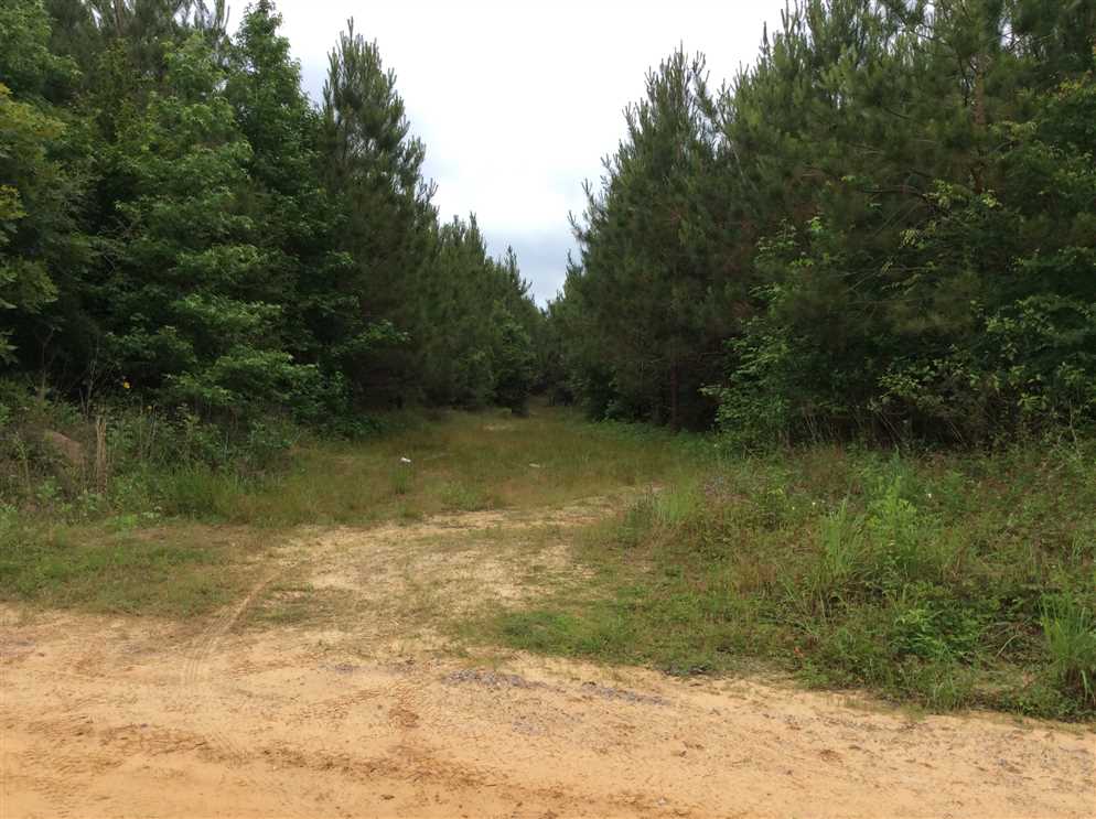 80 Acres of Recreational land for sale in Dodson, winn County, Louisiana