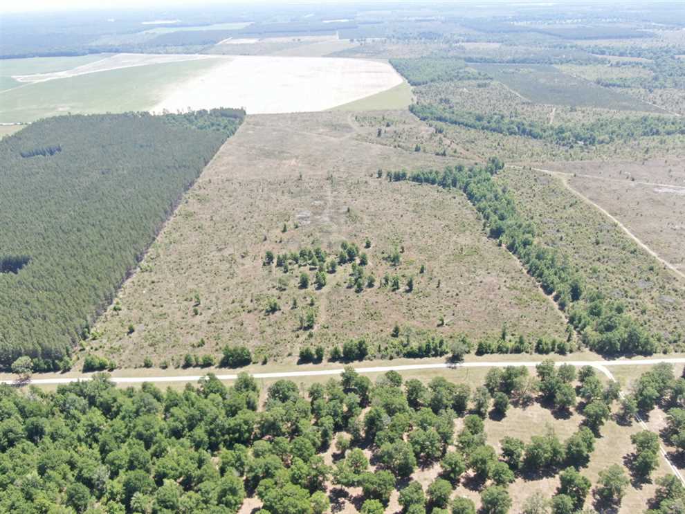 40.92 Acres of Residential land for sale in Jasper, hamilton County, Florida