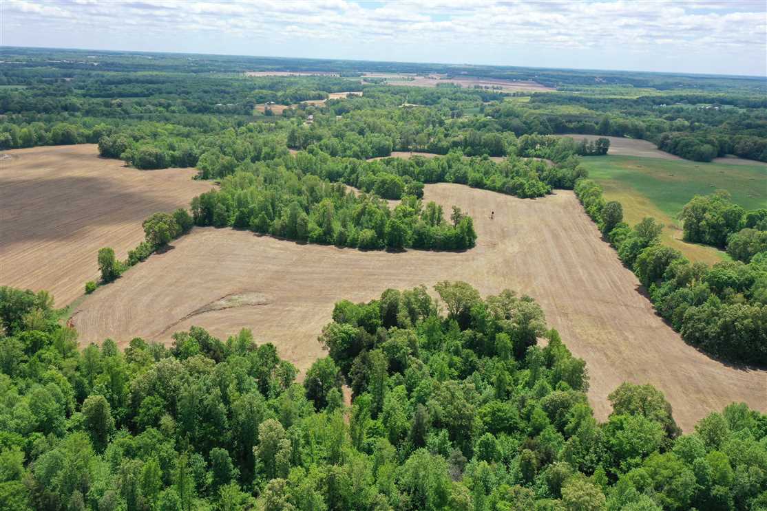 70 acre revenue and whitetail producing farm in Henry County, Tennessee! Real estate listing