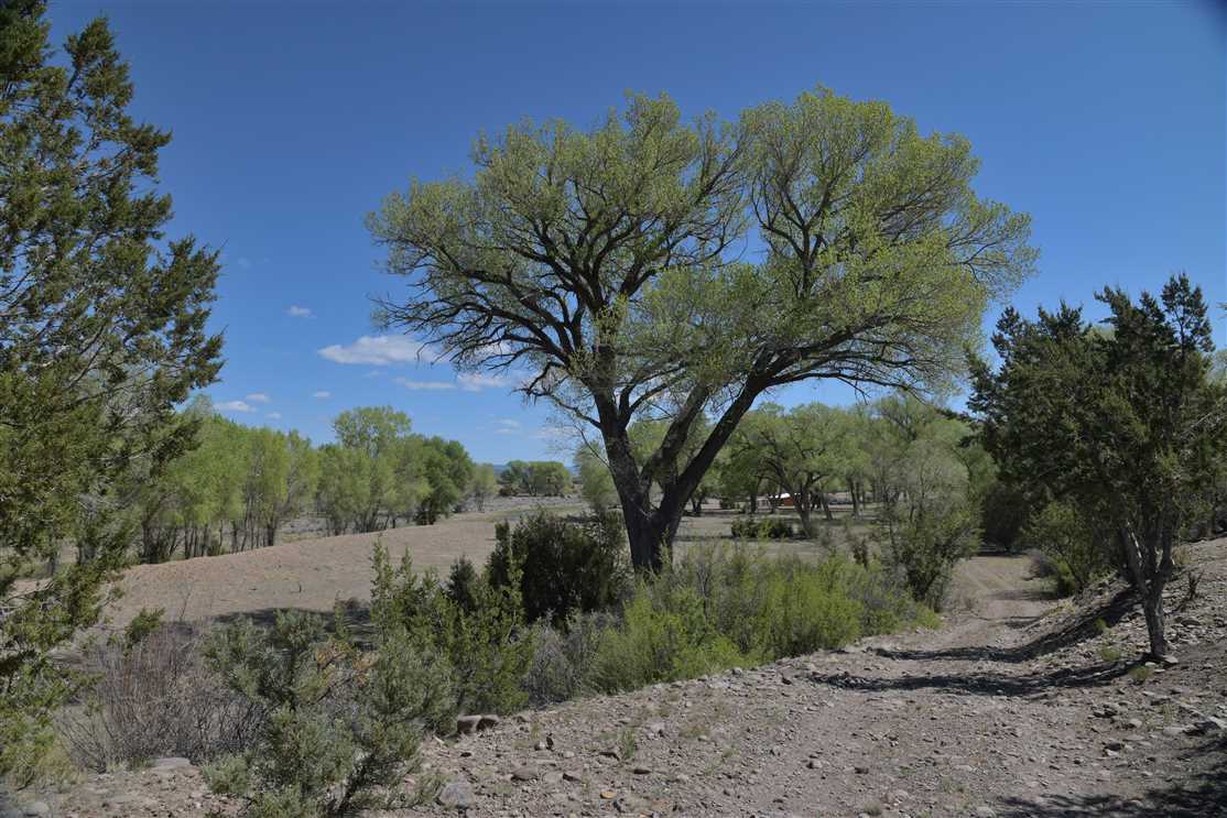 Houses and land for sale in New Mexico