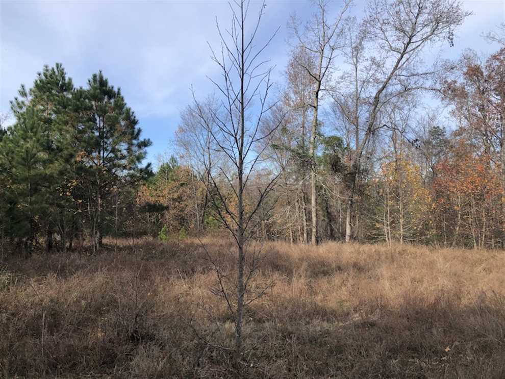 fairfield County, South Carolina property for sale