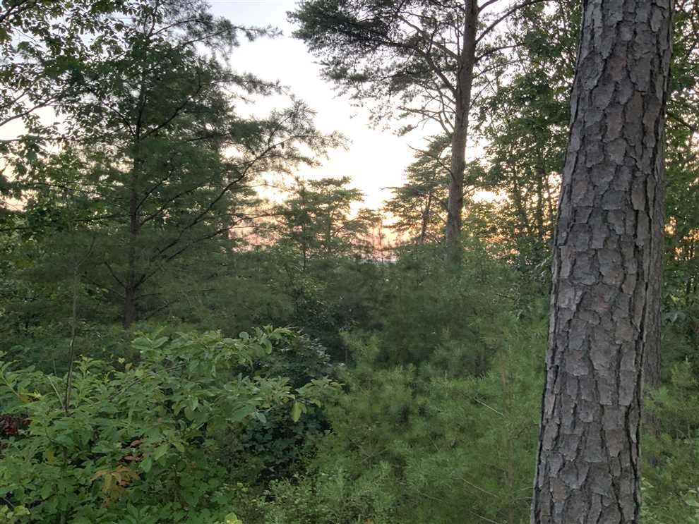 Beautiful 3.72 acre lot overlooking beautiful Kentucky Lake. Real estate listing