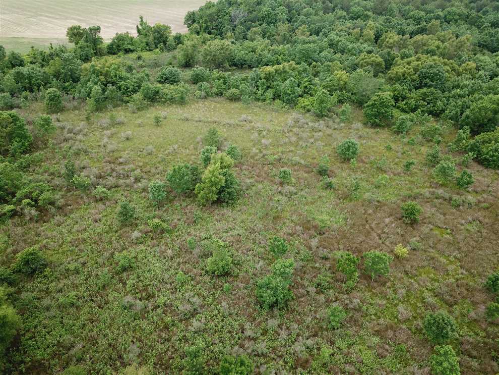 80 acre Hunting Tract Real estate listing