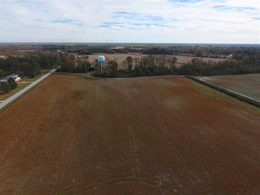 73.35 Acres of Farm and Timber Land For Sale in Craven County NC! Real estate listing