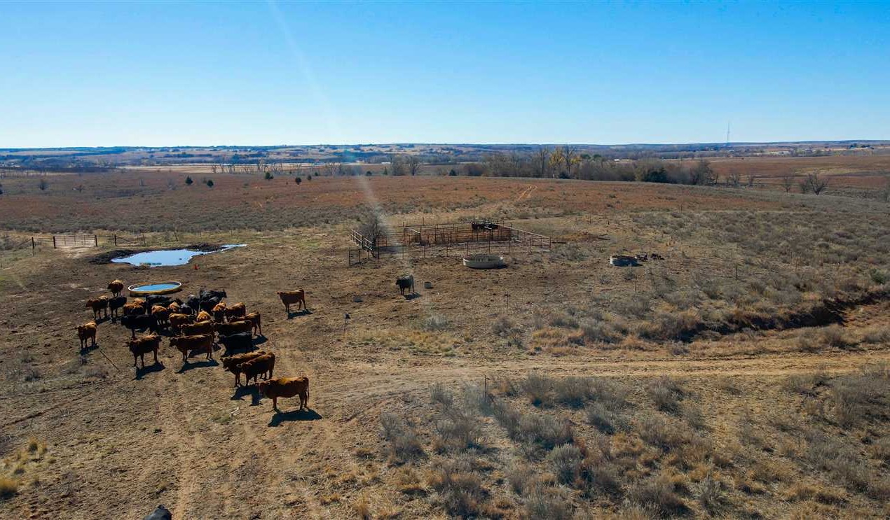 Recreational land real estate to buy in wheeler County TX