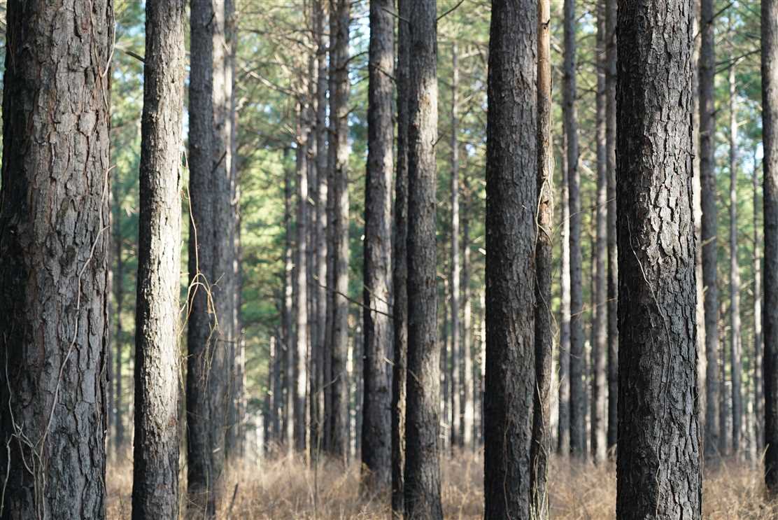 Land for sale to buy in 72010 zip code