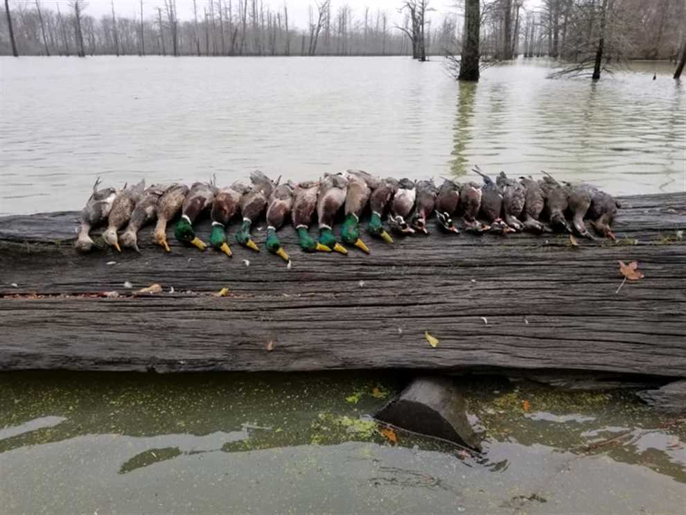 1359 Acres of Recreational land for sale in Marks, quitman County, Mississippi