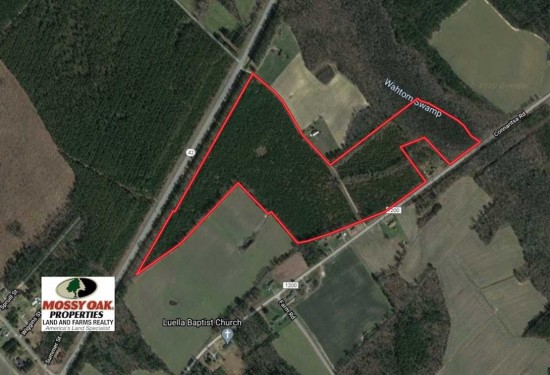 72 Acres of Land for Sale in bertie County North Carolina