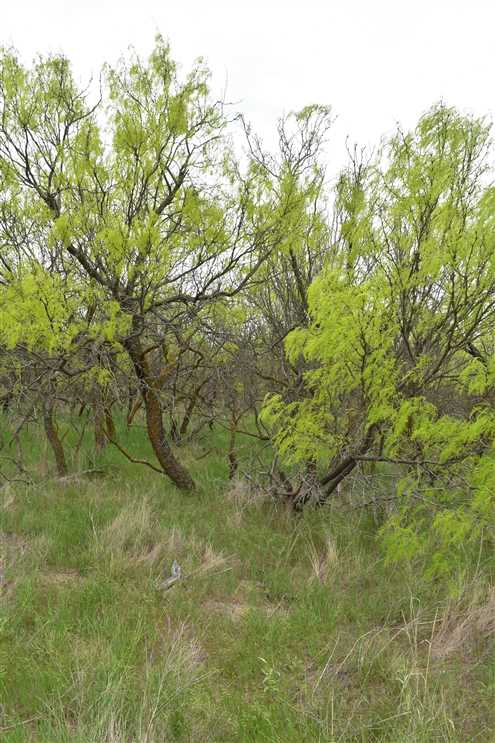 Recreational and   property for sale on The Land Market