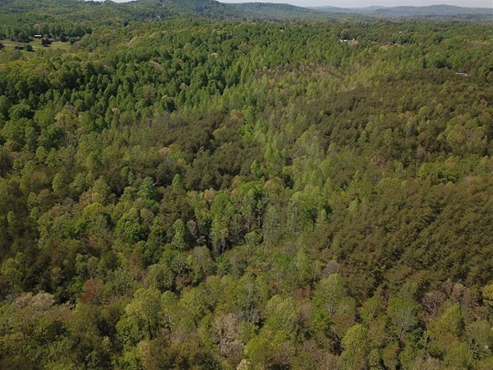 henry County, Virginia property for sale