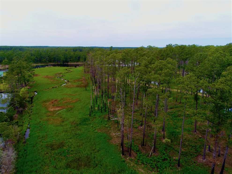 Residential and   property for sale on The Land Market