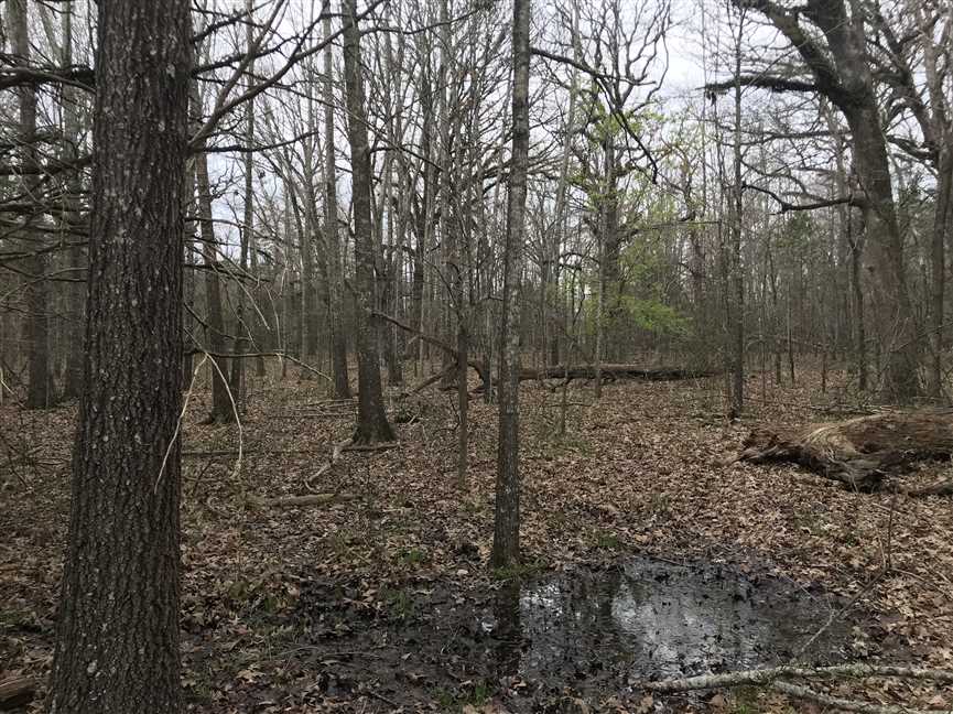 Houses and land for sale in Mississippi