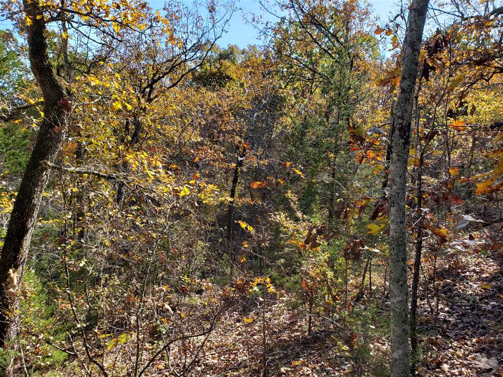Recreational and   property for sale on The Land Market