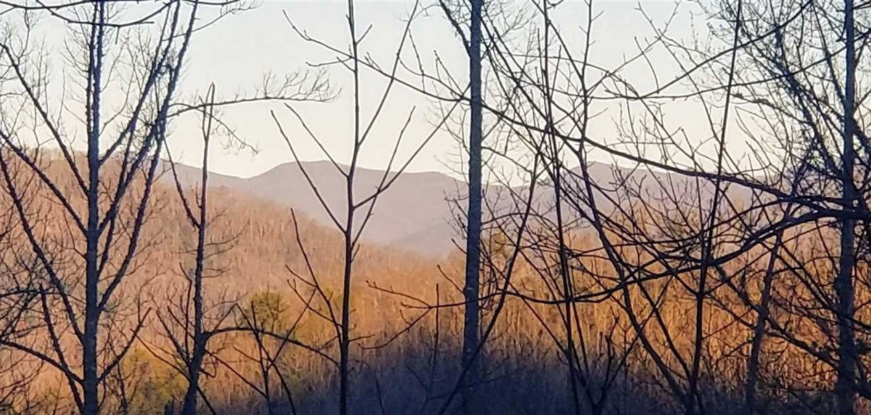 91 Acres of Land for sale in jackson County, North Carolina