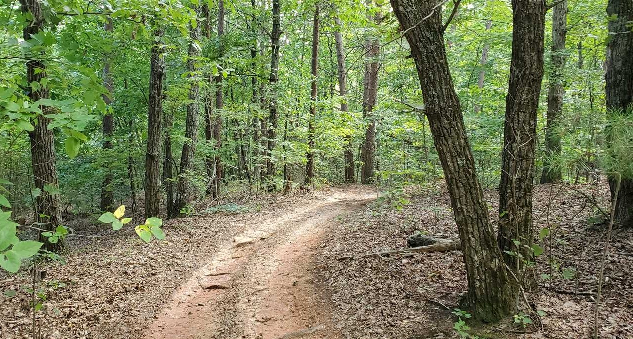 18.91 Acres of Land for sale in rutherford County, North Carolina