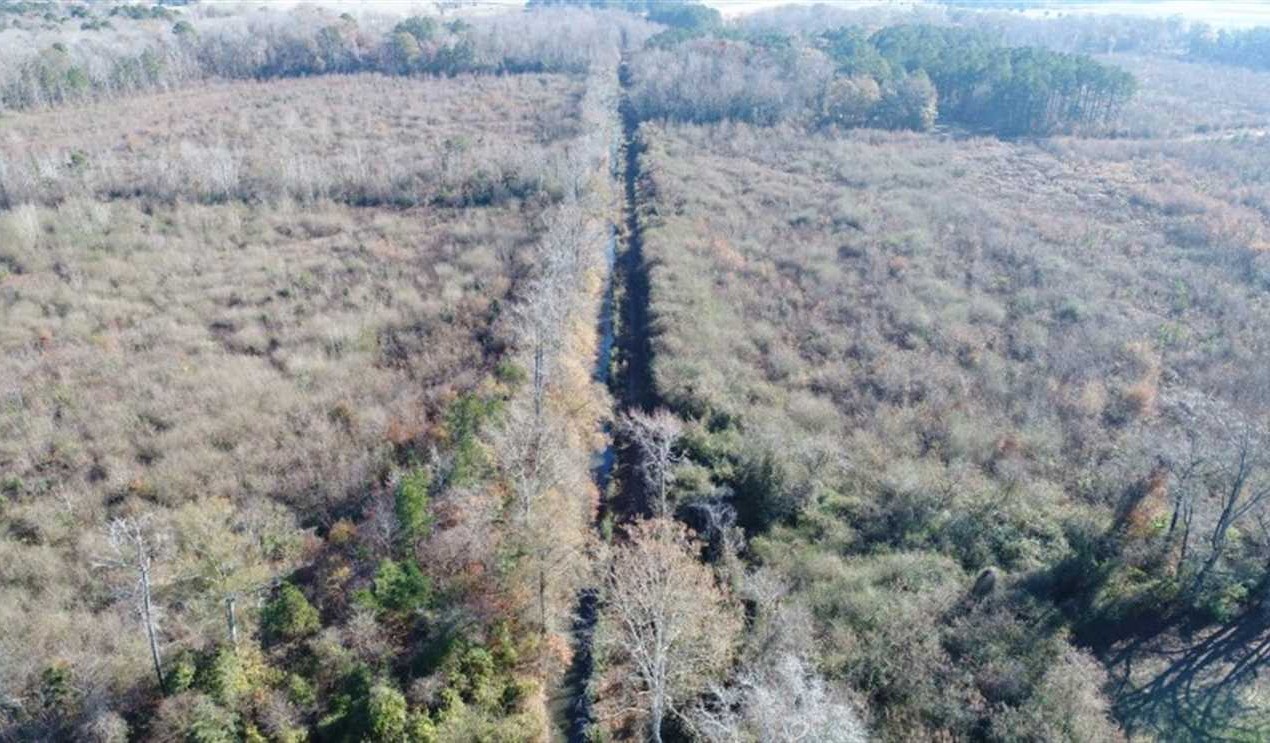 pitt County, North Carolina property for sale