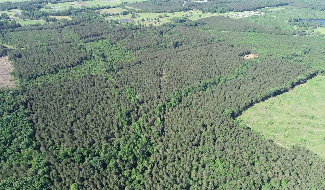 Timberland real estate available to buy