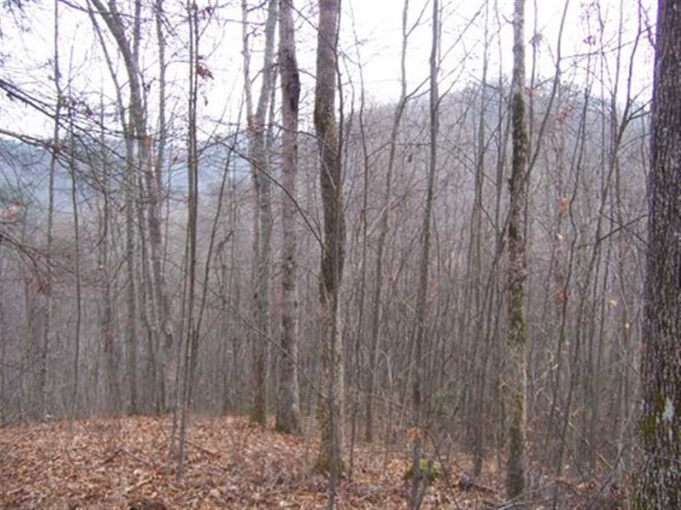 Recreational real estate available to buy
