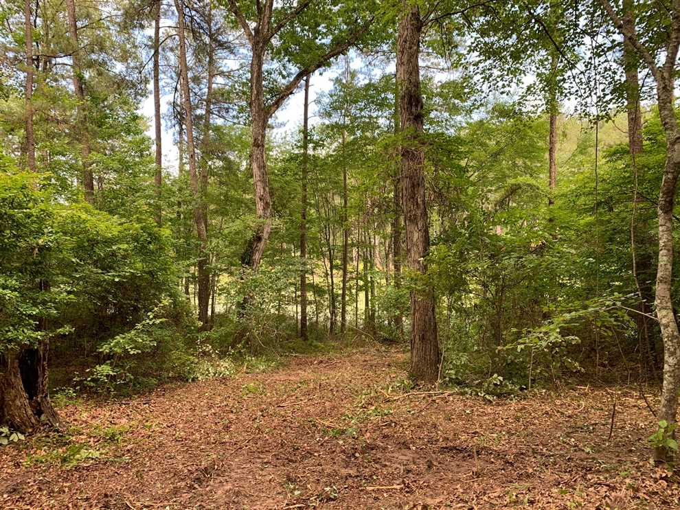Timberland real estate available to buy