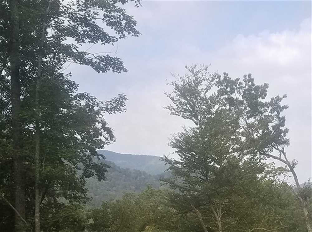 225.26 Acres of Land for sale in swain County, North Carolina
