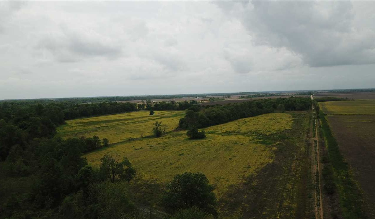 Land for sale at