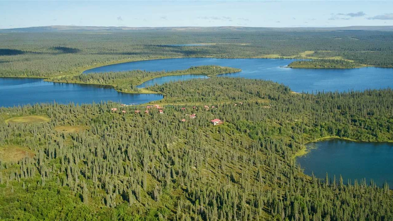 Land for sale at 000 No Road, Nonvianuk River Katmai National Park