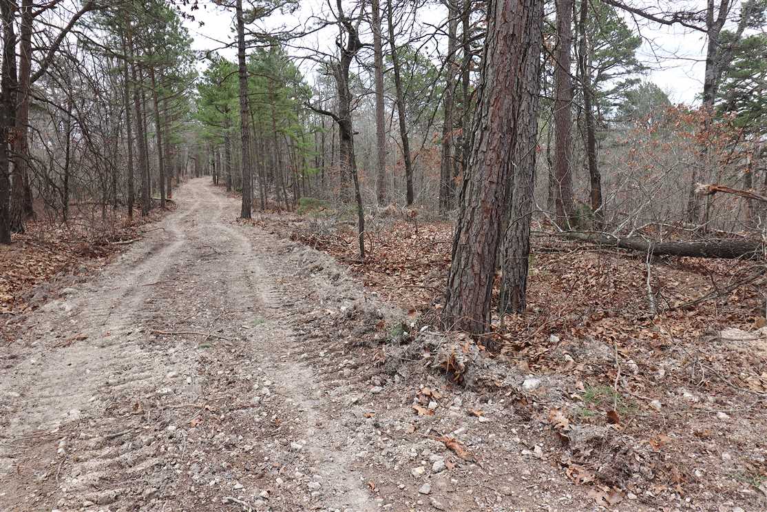 Eureka Springs 44.04 Acres Tract B Real estate listing