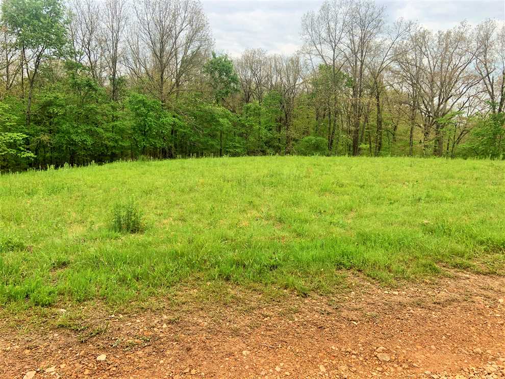 mcdonald County, Missouri property for sale