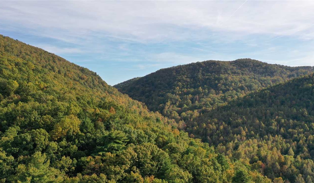 burke County, North Carolina property for sale