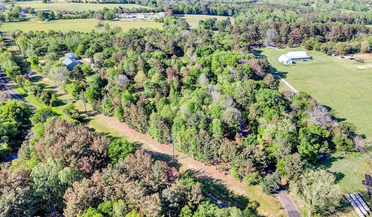 Timberland real estate available to buy
