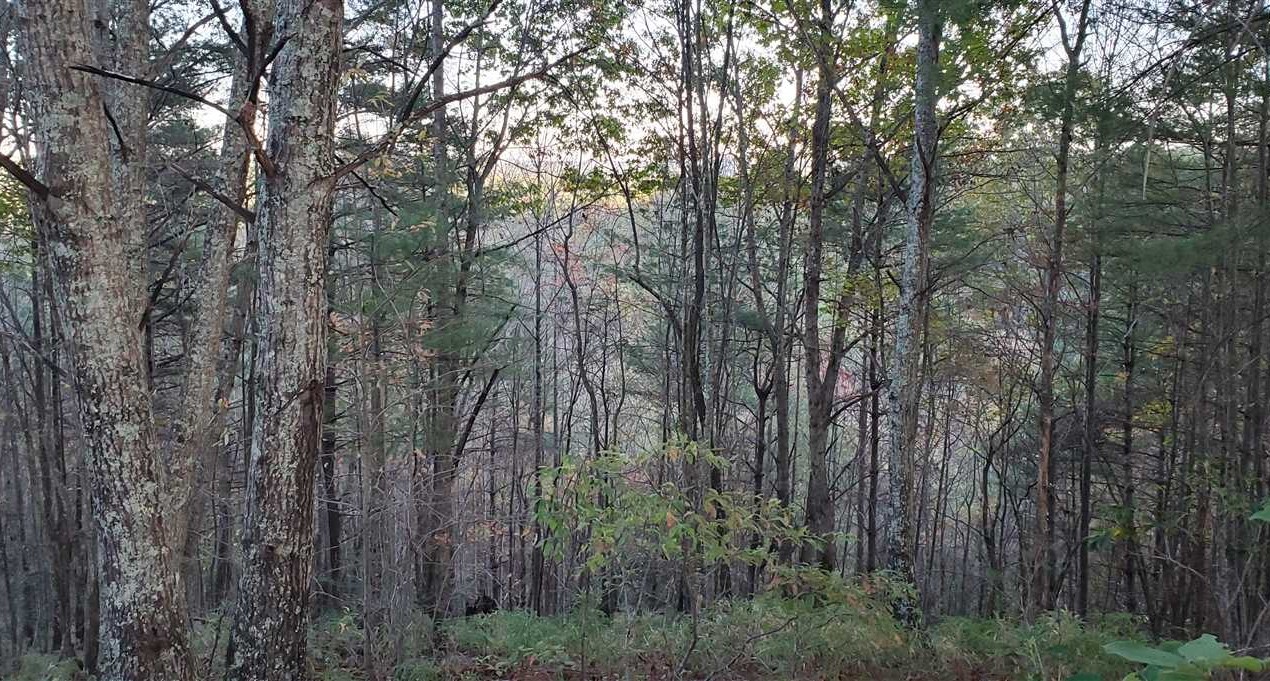 Residential and   property for sale on The Land Market