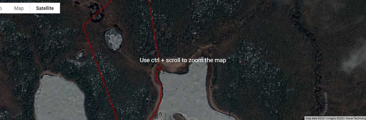 Cabin on 33 acres near Lake Louise ....Turn Key! Real estate listing