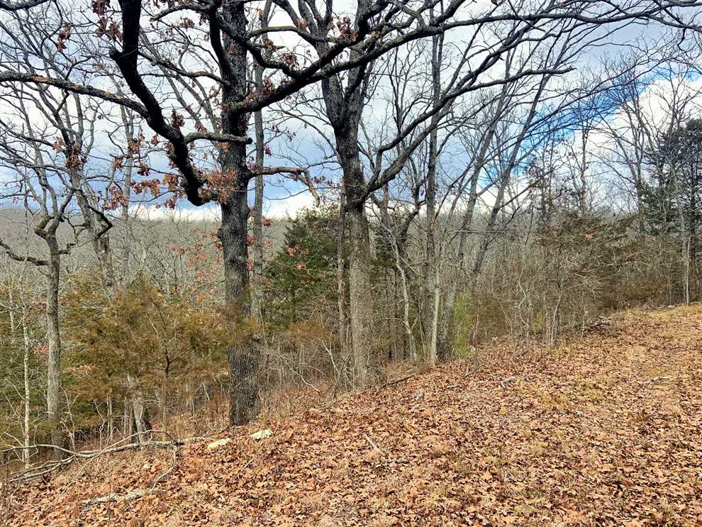 Property for sale at 20242 Mount Olive Rd
