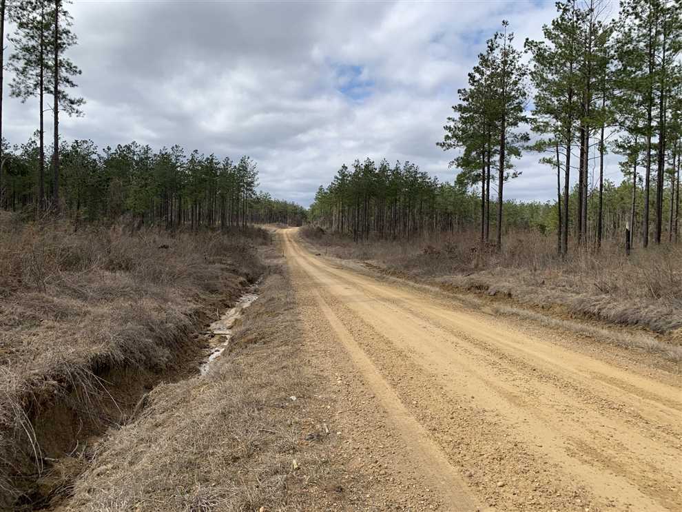 80 Acres of Residential land for sale in Grayson, caldwell County, Louisiana