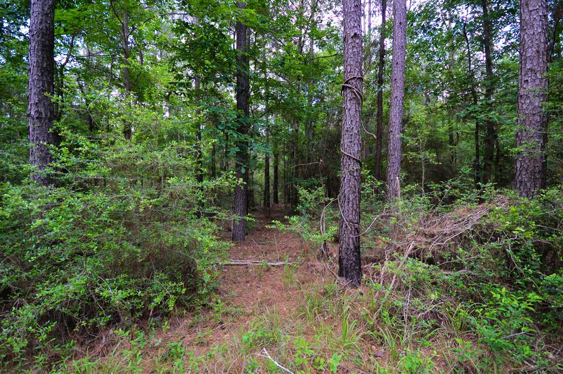 Land for sale to buy in  zip code
