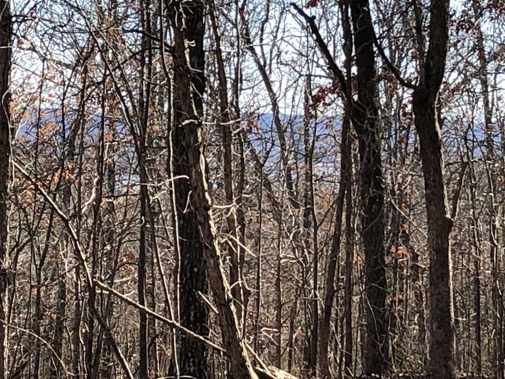 Property for sale at 000 Kinderhook Rd