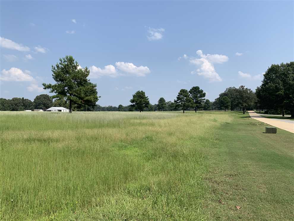 Property for sale at