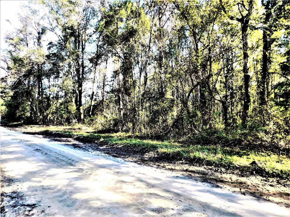 Timberland real estate available to buy