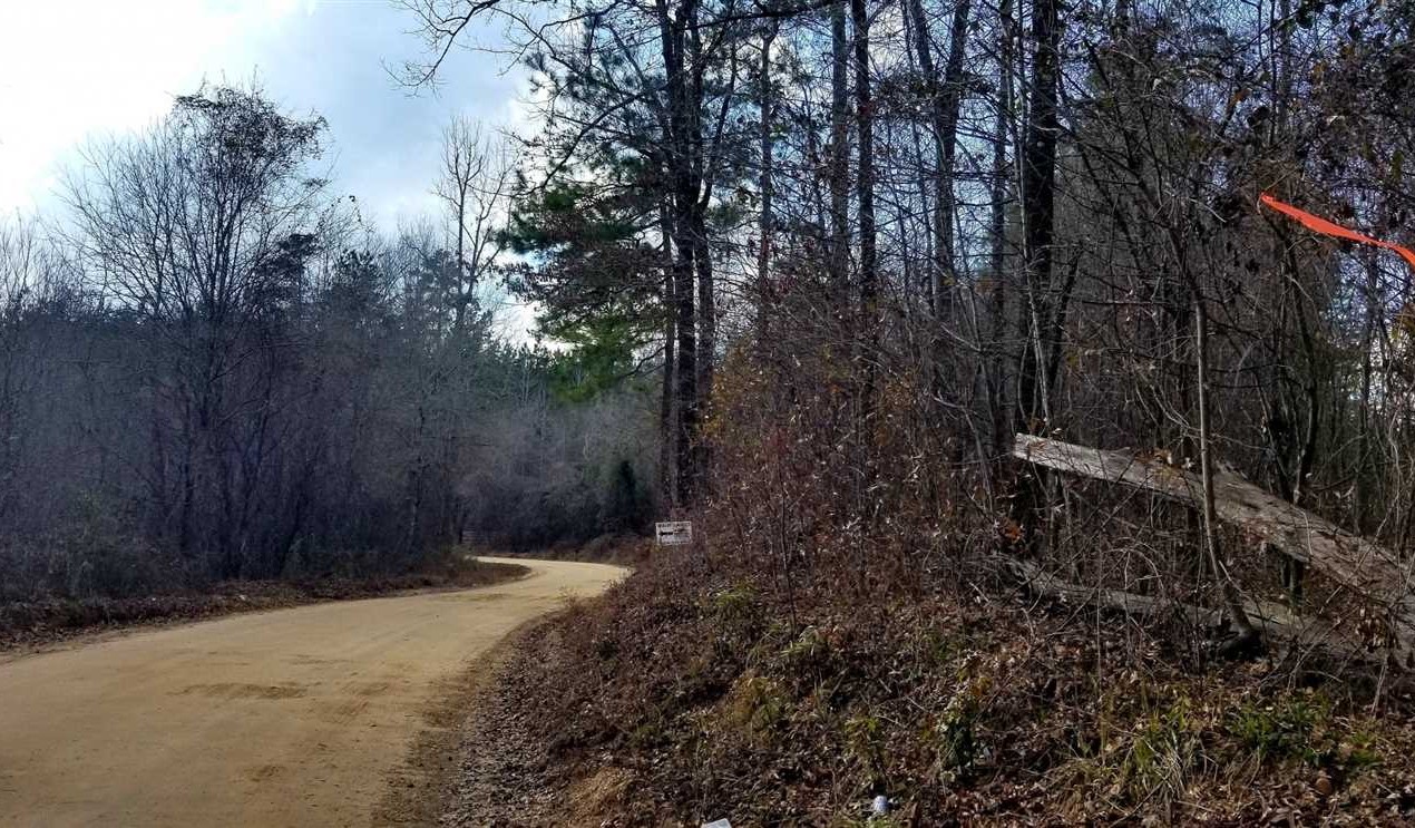 grant County, Louisiana property for sale