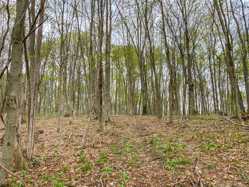 45.34 Acres of Land for sale in pike County, Ohio