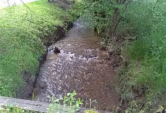1 Acres of Land for Sale in cherokee County North Carolina
