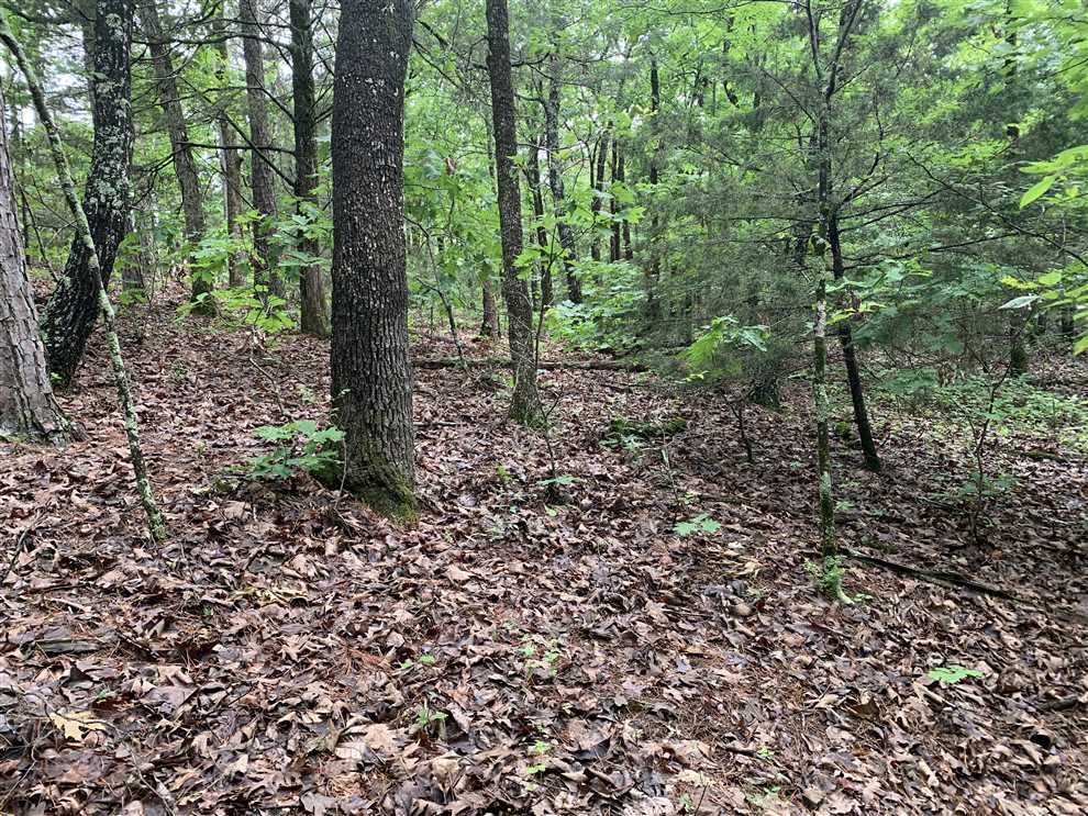 logan County, Arkansas property for sale
